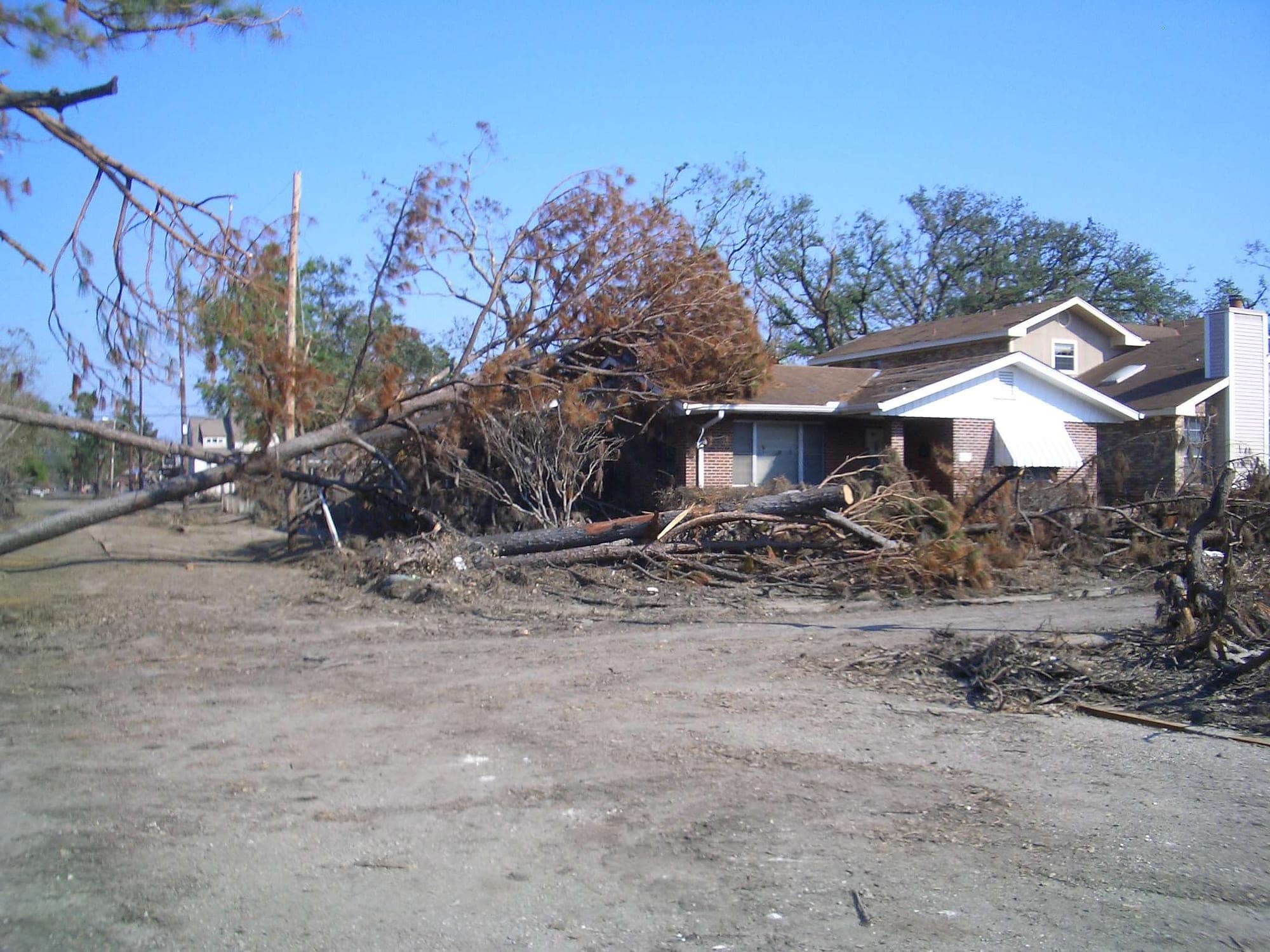 A house with storm debris across its yard and a large pine tree fallen against the roofline.