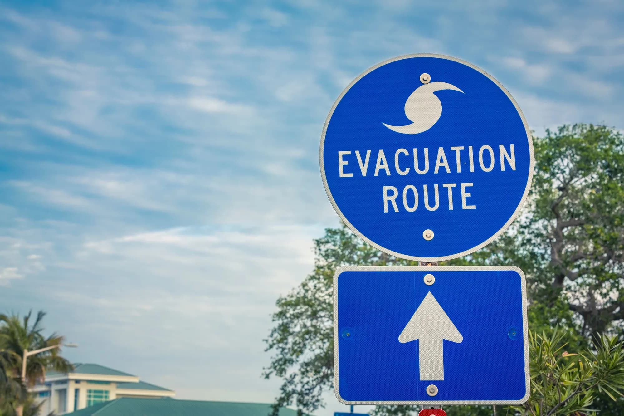 A blue hurricane evacuation route road sign with an arrow, palm trees behind it.